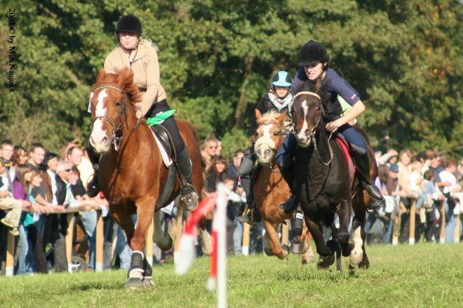 Dionysi Vilsbiburg 2008 Rennen 025