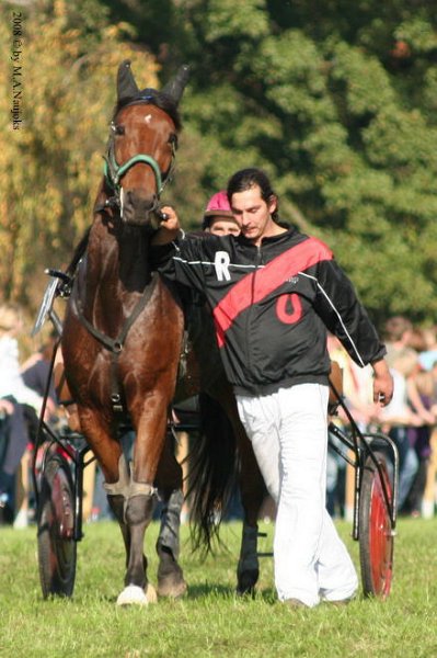 Dionysi Vilsbiburg 2008 Rennen 029