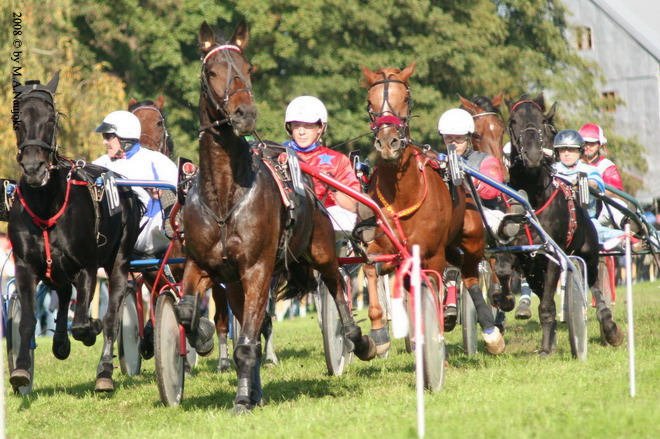 Dionysi Vilsbiburg 2008 Rennen 030
