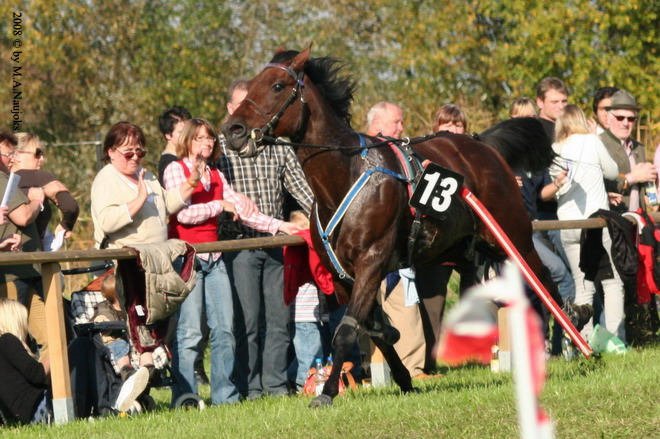 Dionysi Vilsbiburg 2008 Rennen 031