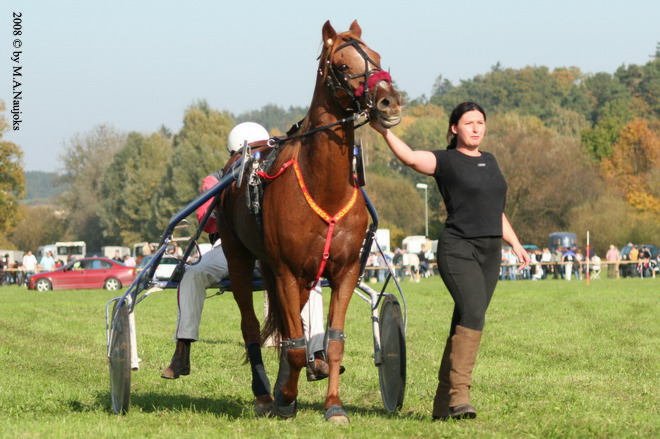 Dionysi Vilsbiburg 2008 Rennen 034