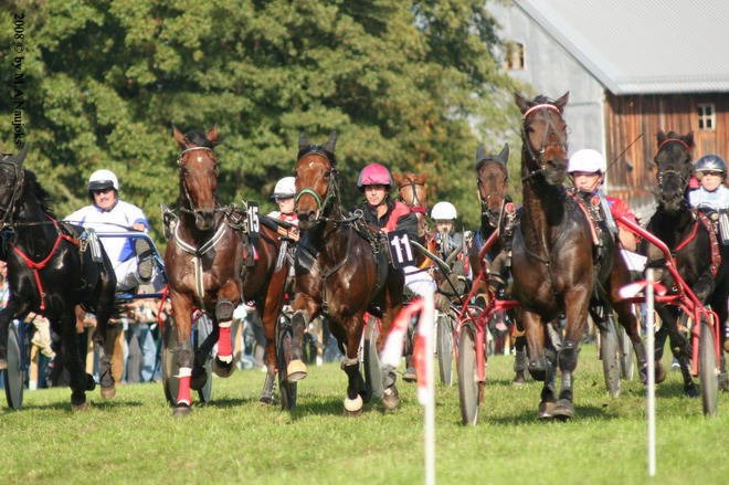 Dionysi Vilsbiburg 2008 Rennen 036