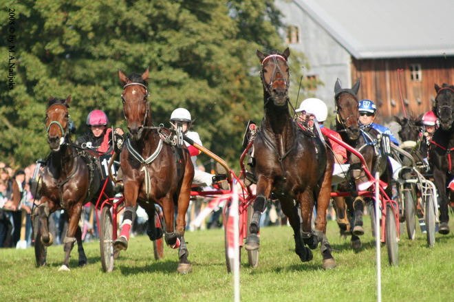 Dionysi Vilsbiburg 2008 Rennen 037
