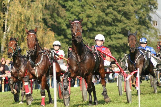 Dionysi Vilsbiburg 2008 Rennen 038