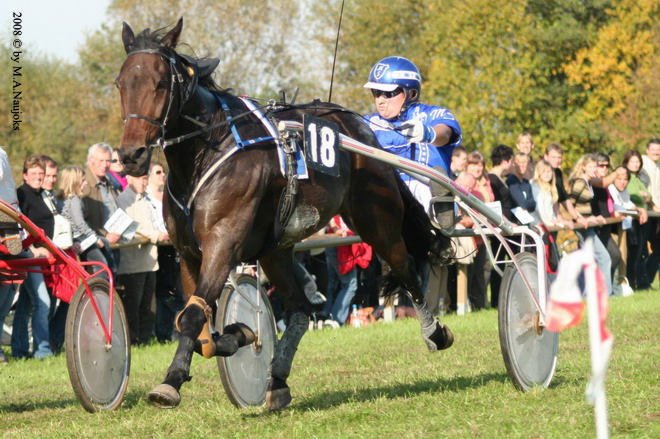 Dionysi Vilsbiburg 2008 Rennen 040