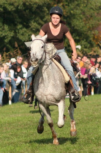 Dionysi Vilsbiburg 2008 Rennen 042