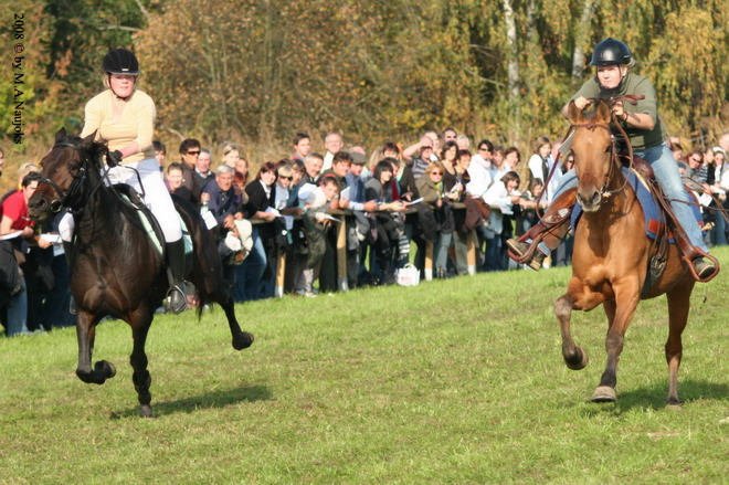 Dionysi Vilsbiburg 2008 Rennen 043