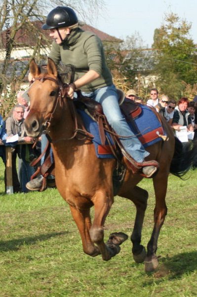Dionysi Vilsbiburg 2008 Rennen 044