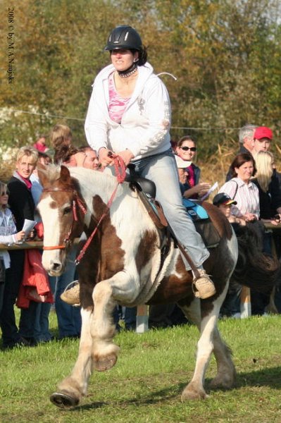 Dionysi Vilsbiburg 2008 Rennen 048