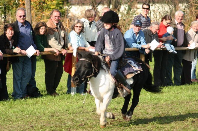 Dionysi Vilsbiburg 2008 Rennen 050