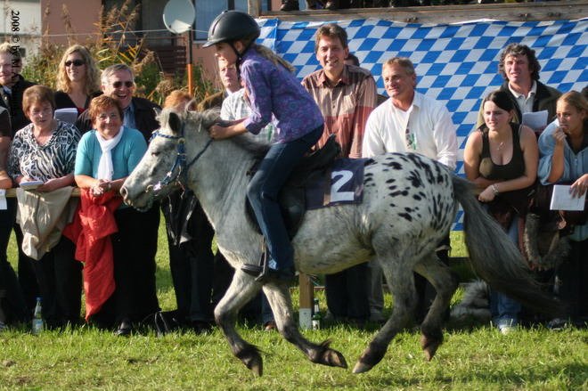 Dionysi Vilsbiburg 2008 Rennen 054
