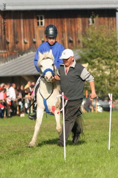 Dionysi Vilsbiburg 2008 Rennen 058