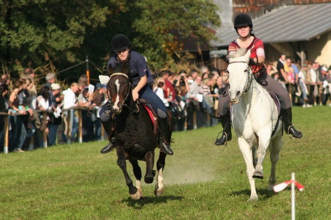 Dionysi Vilsbiburg 2008 Rennen 059