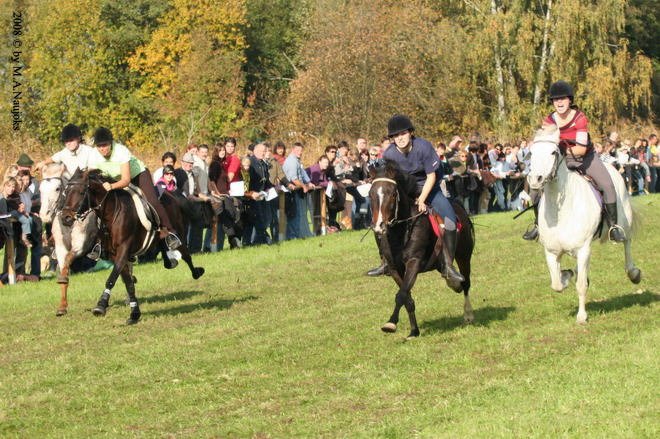 Dionysi Vilsbiburg 2008 Rennen 060
