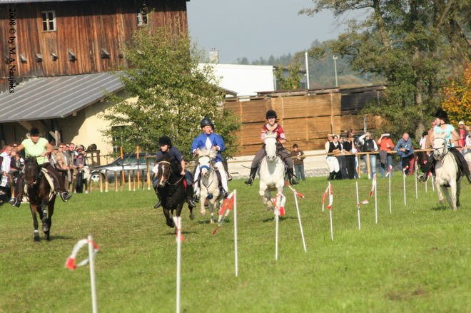 Dionysi Vilsbiburg 2008 Rennen 061