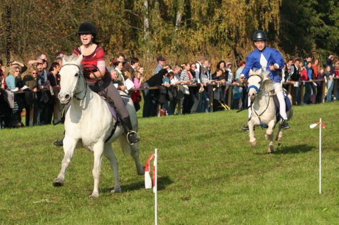 Dionysi Vilsbiburg 2008 Rennen 062