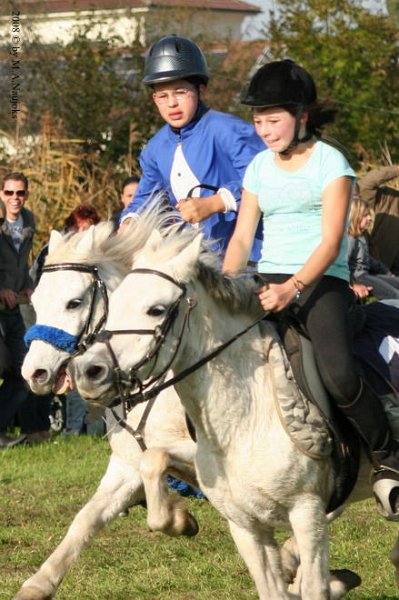 Dionysi Vilsbiburg 2008 Rennen 064