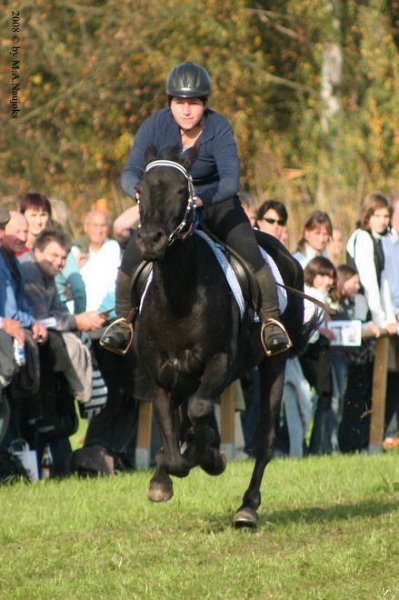 Dionysi Vilsbiburg 2008 Rennen 065