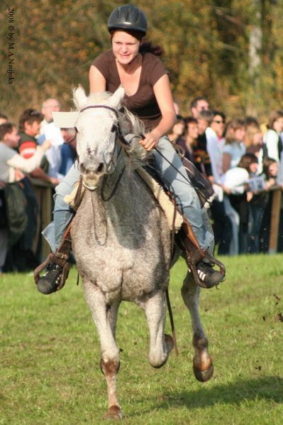 Dionysi Vilsbiburg 2008 Rennen 068
