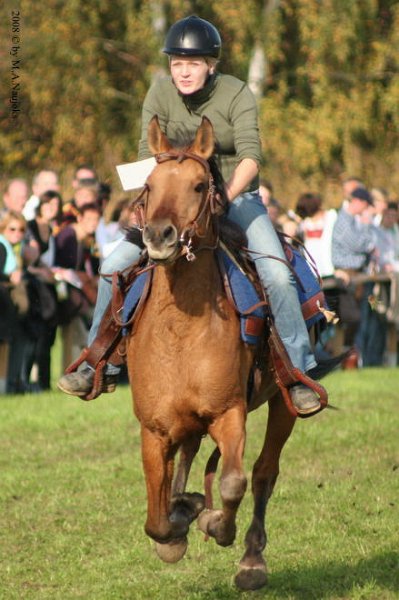 Dionysi Vilsbiburg 2008 Rennen 069