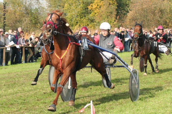 Dionysi Vilsbiburg 2008 Rennen 071