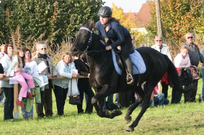 Dionysi Vilsbiburg 2008 Rennen 073