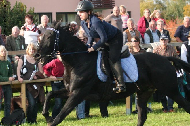 Dionysi Vilsbiburg 2008 Rennen 074