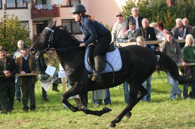 Dionysi Vilsbiburg 2008 Rennen 075