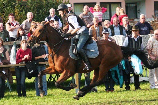 Dionysi Vilsbiburg 2008 Rennen 076