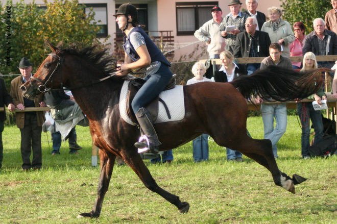 Dionysi Vilsbiburg 2008 Rennen 077