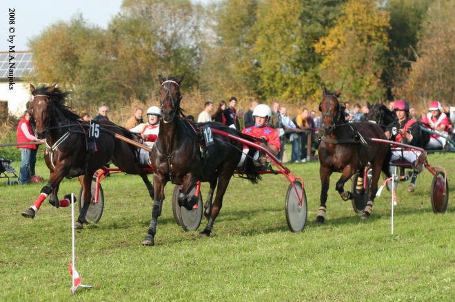 Dionysi Vilsbiburg 2008 Rennen 078