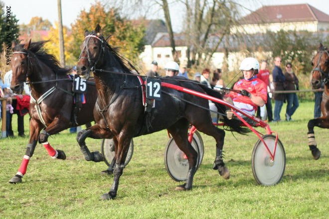 Dionysi Vilsbiburg 2008 Rennen 079