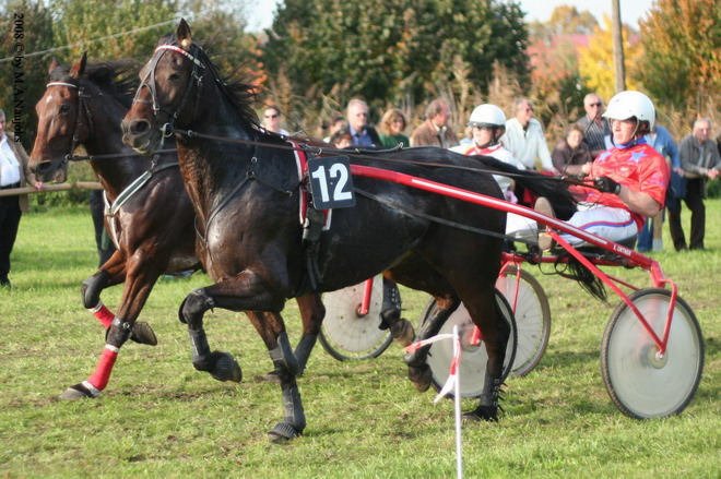 Dionysi Vilsbiburg 2008 Rennen 080