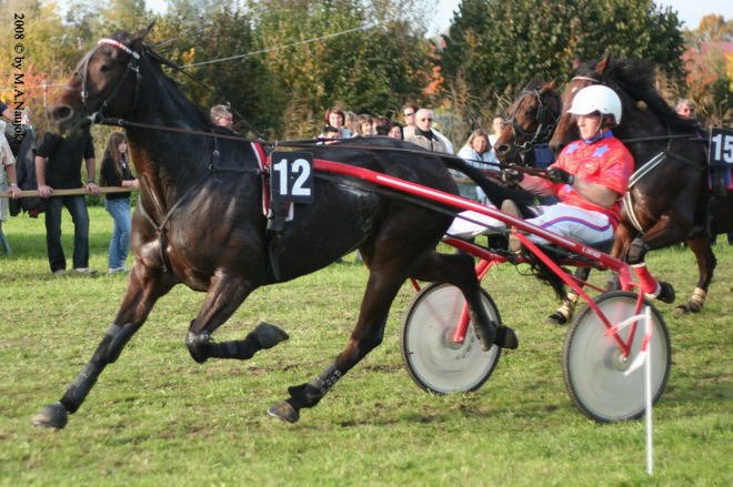 Dionysi Vilsbiburg 2008 Rennen 082