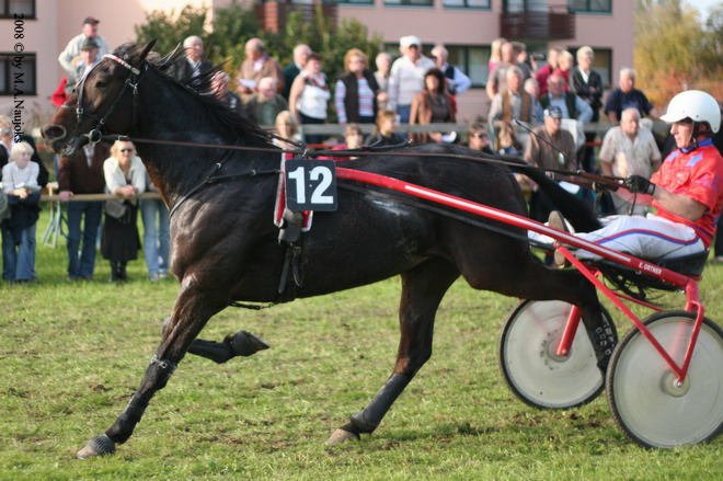Dionysi Vilsbiburg 2008 Rennen 083