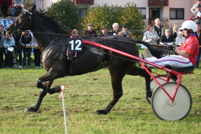 Dionysi Vilsbiburg 2008 Rennen 084