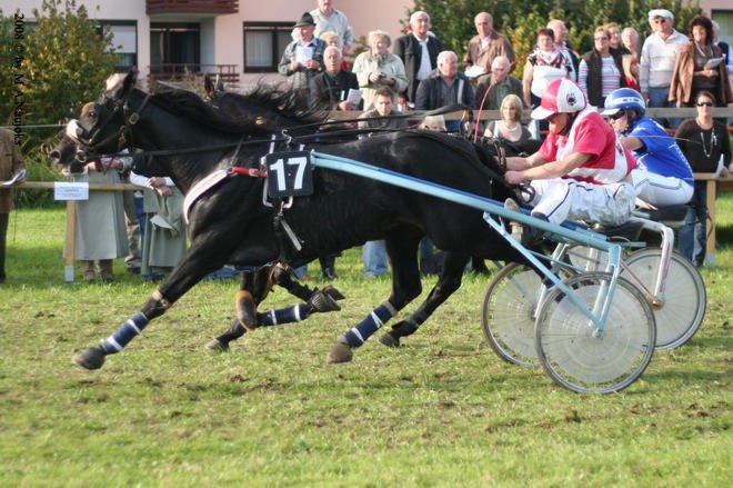 Dionysi Vilsbiburg 2008 Rennen 085