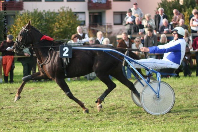 Dionysi Vilsbiburg 2008 Rennen 086