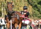 Dionysi Vilsbiburg 2008 Rennen 006