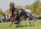 Dionysi Vilsbiburg 2008 Rennen 008