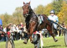 Dionysi Vilsbiburg 2008 Rennen 010