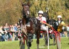Dionysi Vilsbiburg 2008 Rennen 011