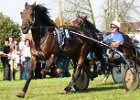 Dionysi Vilsbiburg 2008 Rennen 013