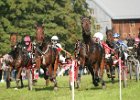 Dionysi Vilsbiburg 2008 Rennen 037