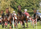 Dionysi Vilsbiburg 2008 Rennen 038