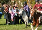Dionysi Vilsbiburg 2008 Rennen 053