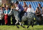 Dionysi Vilsbiburg 2008 Rennen 054