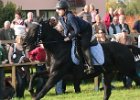Dionysi Vilsbiburg 2008 Rennen 074