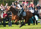 Dionysi Vilsbiburg 2008 Rennen 076