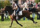 Dionysi Vilsbiburg 2008 Rennen 077